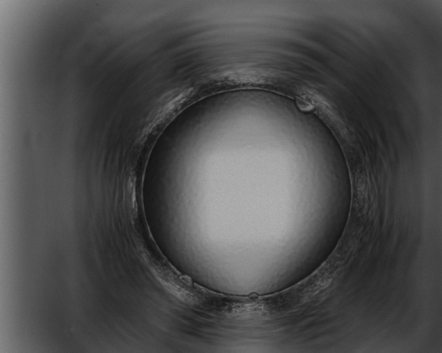 X0000052600398200507160016