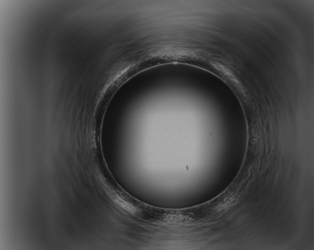 X0000052600399200507160016