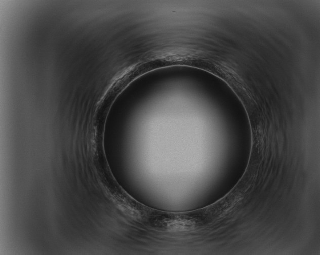 X0000052600400200507160016