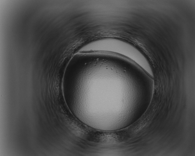 X0000052600402200507160016