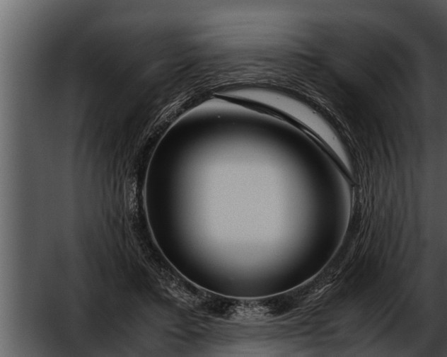 X0000052600403200507160016