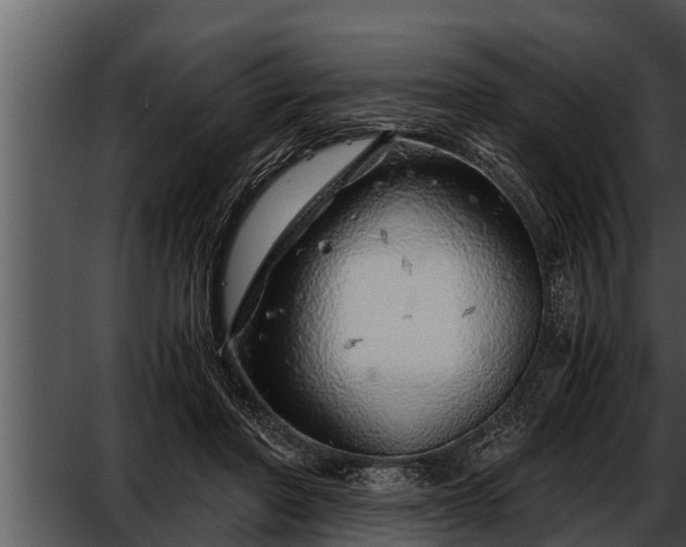 X0000052600406200507160016