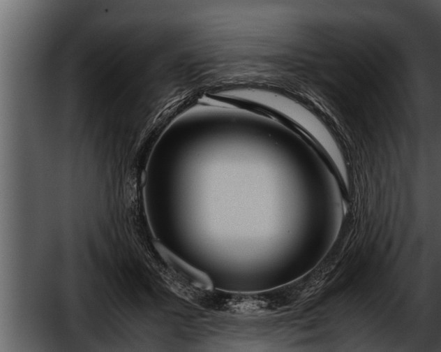 X0000052600407200507160016