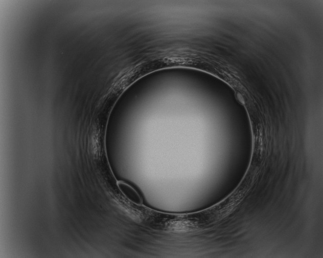 X0000052600408200507160016