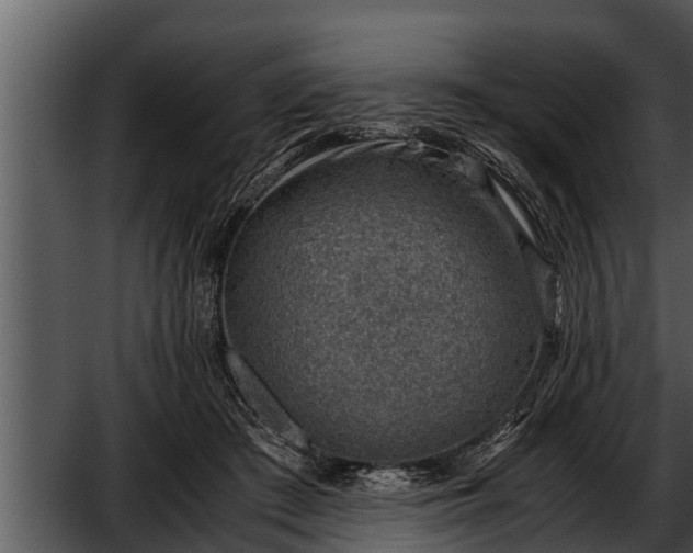 X0000052600409200507160016