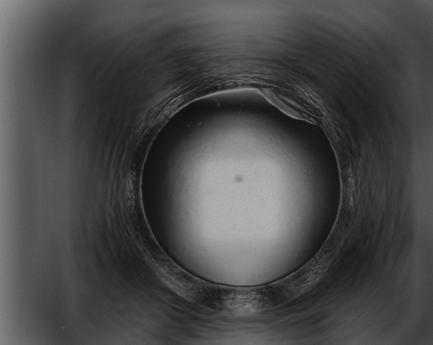 X0000052600410200507160016