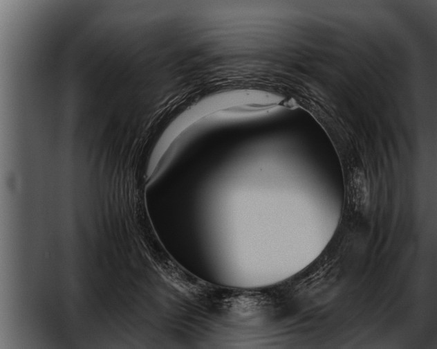 X0000052600412200507160016