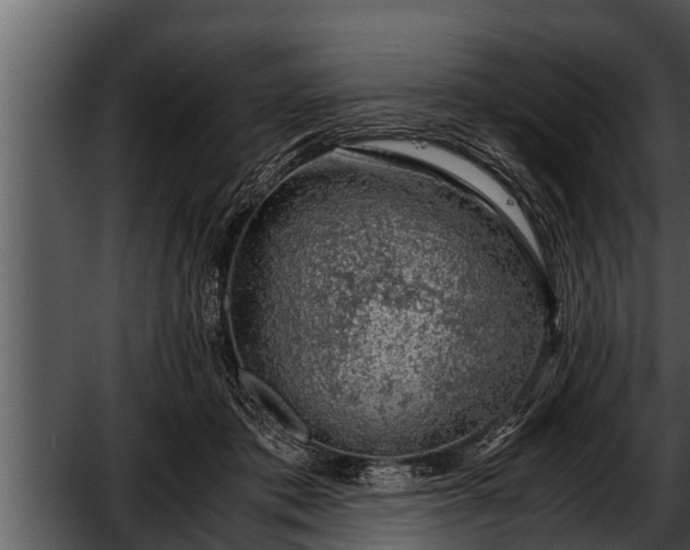 X0000052600413200507160016