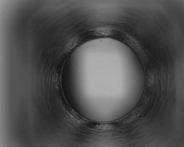 X0000052600414200507160016