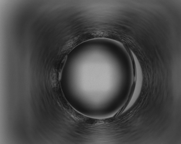 X0000052600416200507160016