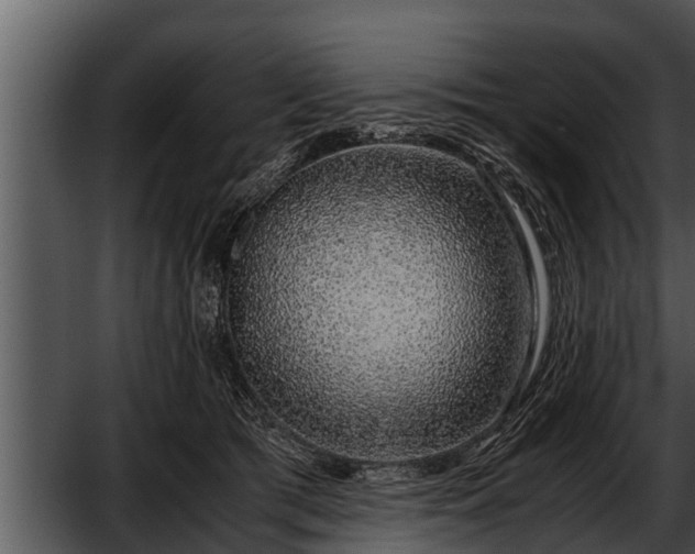 X0000052600417200507160016