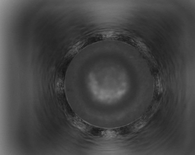 X0000052600419200507160016