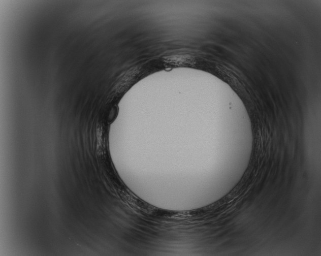 X0000052600420200507160016