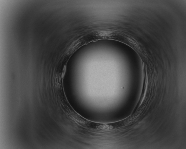 X0000052600421200507160016