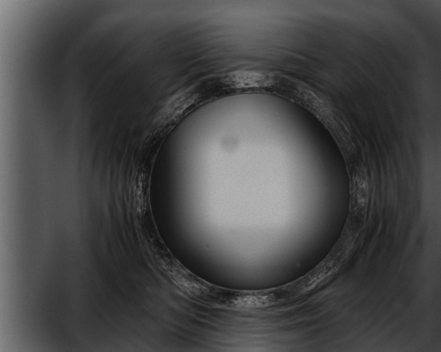 X0000052600422200507160016