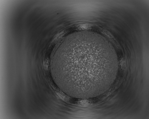 X0000052600423200507160016