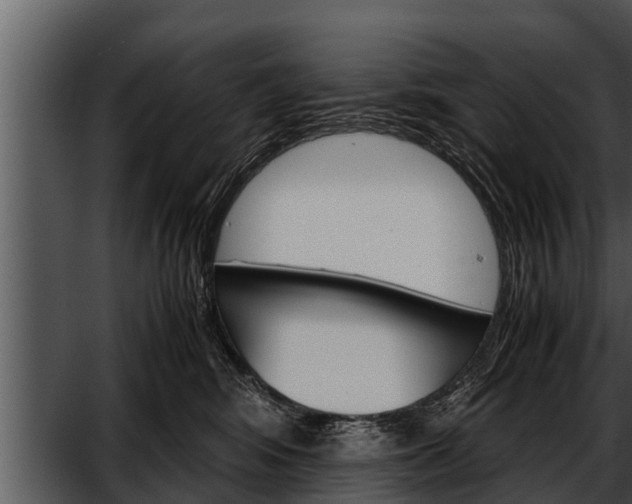 X0000052600424200507160016