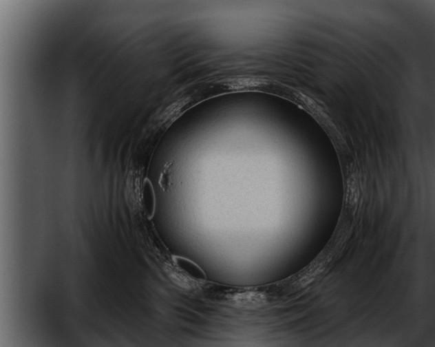 X0000052600426200507160016