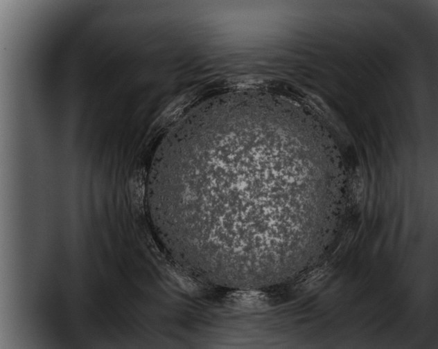 X0000052600427200507160016