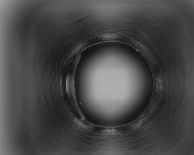 X0000052600428200507160016