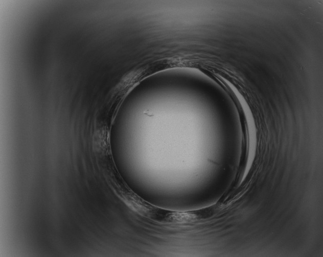 X0000052600429200507160016