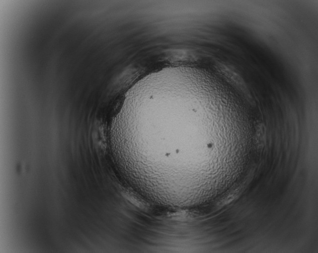 X0000052600430200507160016