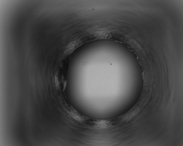 X0000052600432200507160016