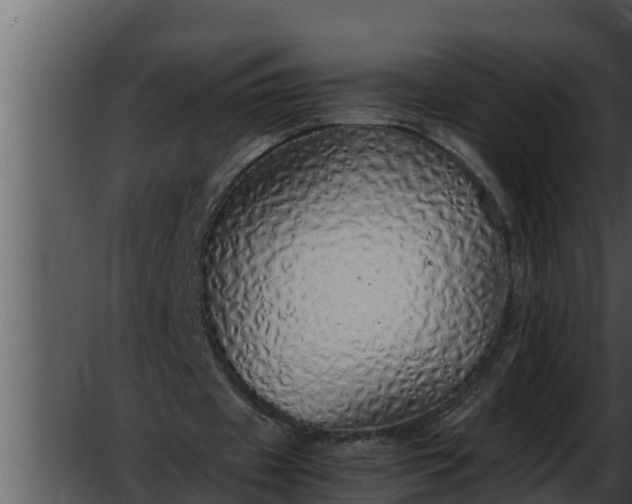 X0000052600433200507160015