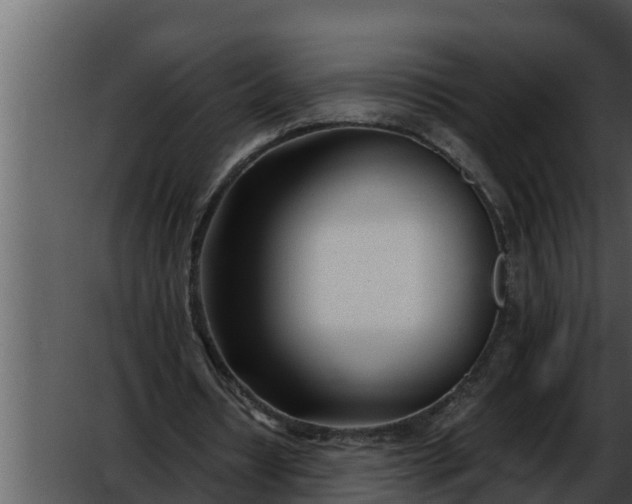 X0000052600434200507160015