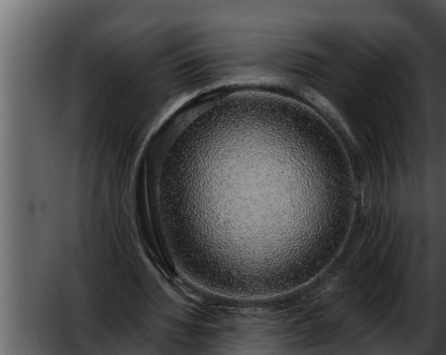 X0000052600436200507160015