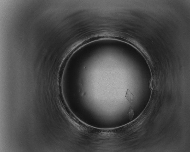 X0000052600437200507160015