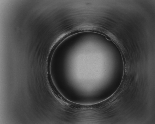 X0000052600438200507160015