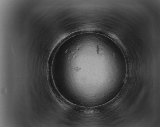 X0000052600439200507160015