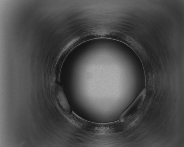 X0000052600440200507160015