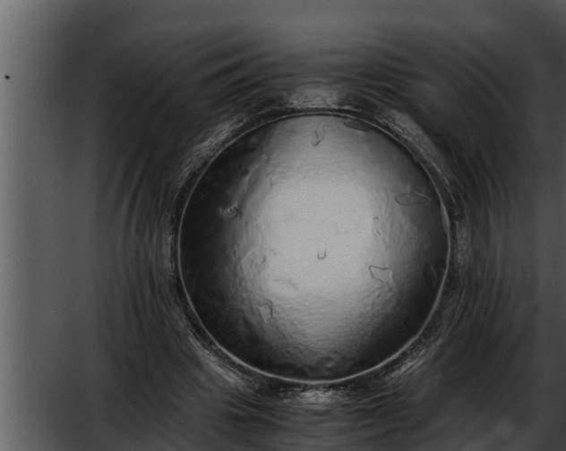 X0000052600441200507160015