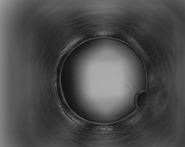 X0000052600443200507160015