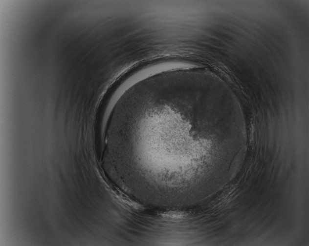 X0000052600444200507160015