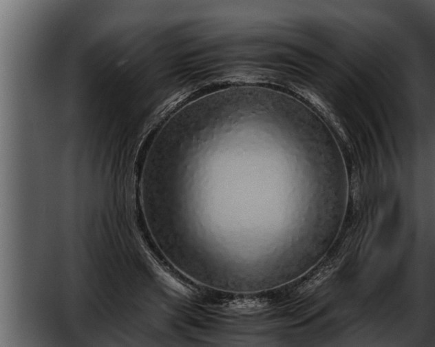 X0000052600445200507160015