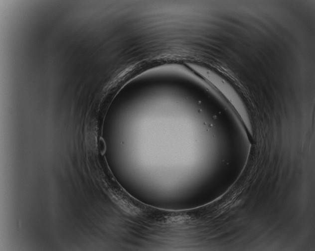 X0000052600446200507160015