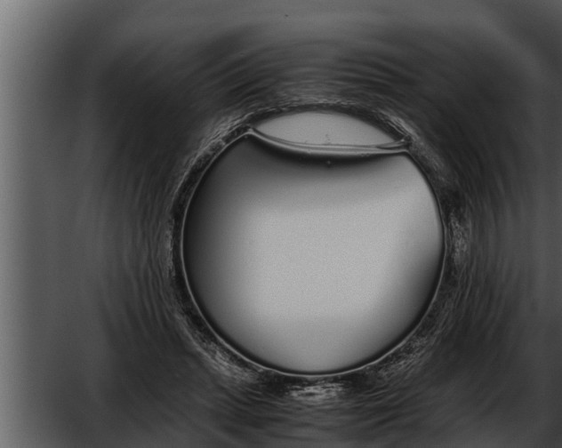 X0000052600447200507160015