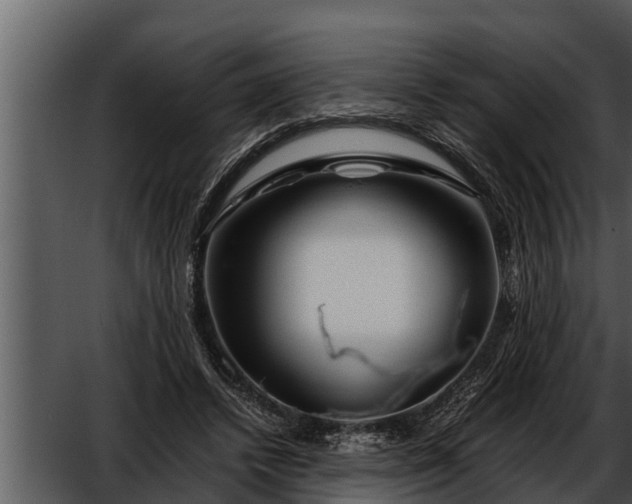 X0000052600448200507160015