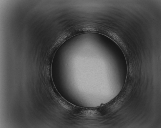 X0000052600449200507160015