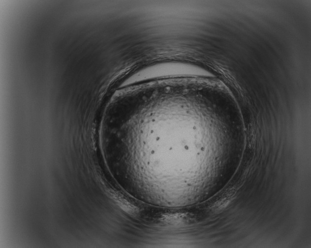 X0000052600450200507160015