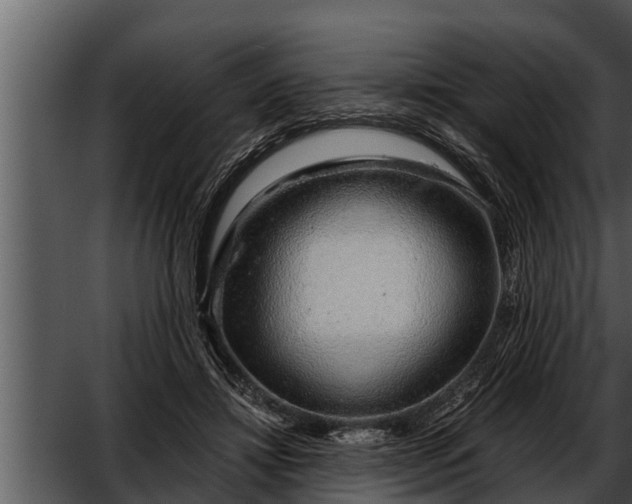 X0000052600452200507160015