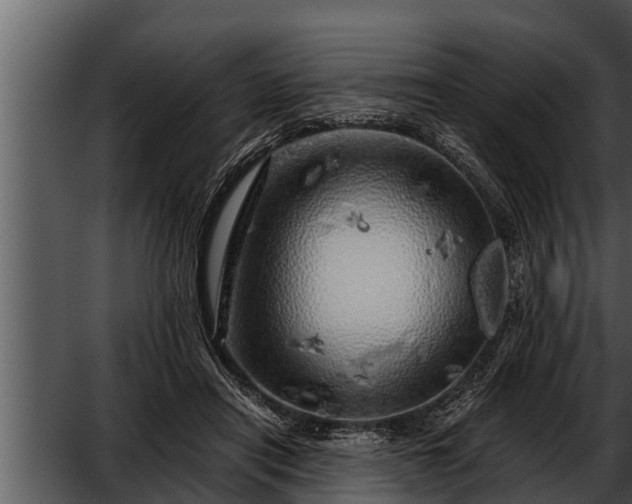 X0000052600454200507160015