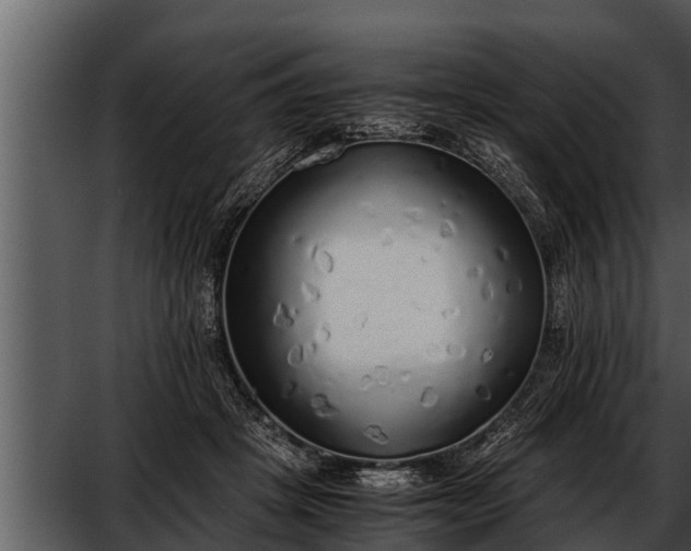 X0000052600457200507160015