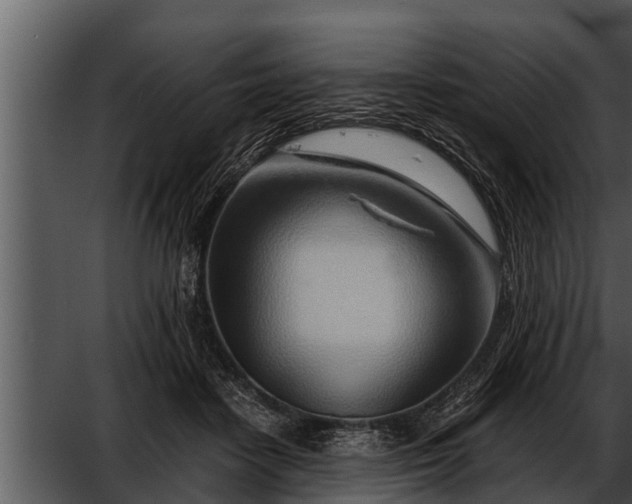 X0000052600458200507160015