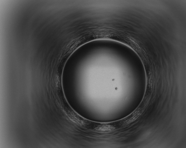 X0000052600459200507160015