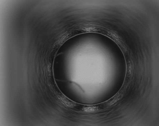 X0000052600461200507160015