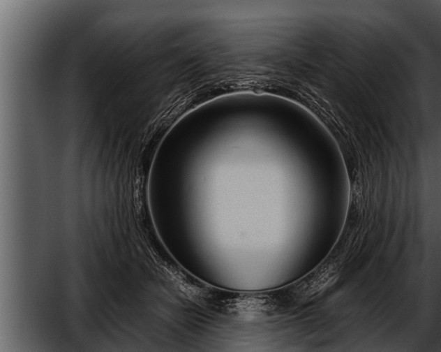 X0000052600462200507160015